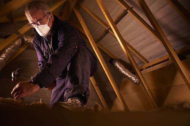Best Insulation Installation Services in Zephyrhills West, FL